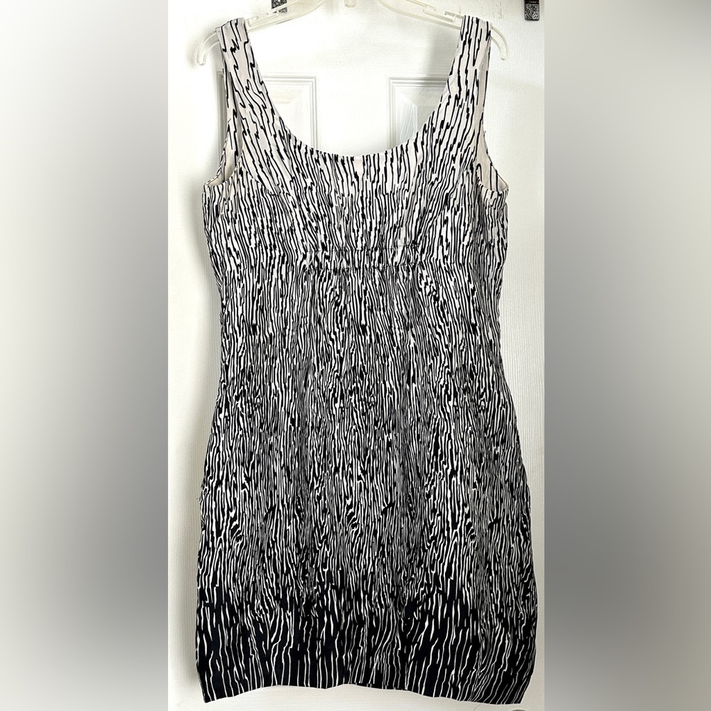 Zara Black & White Silk Dress